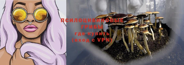 трава Абаза