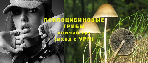 трава Абаза