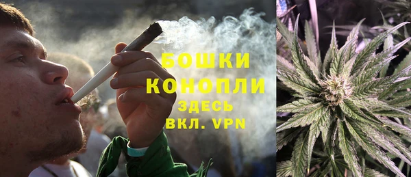 трава Абаза