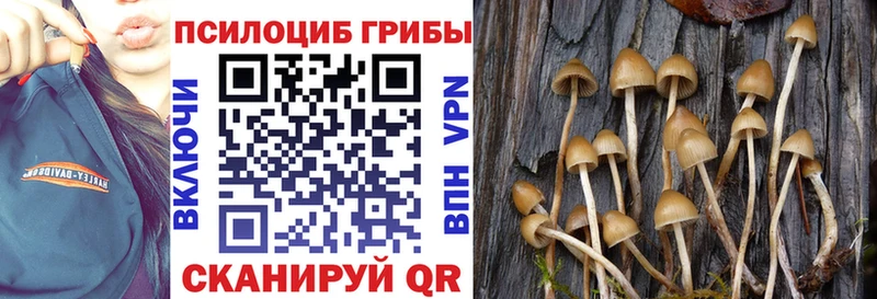 Галлюциногенные грибы мицелий  даркнет сайт  Правдинск 